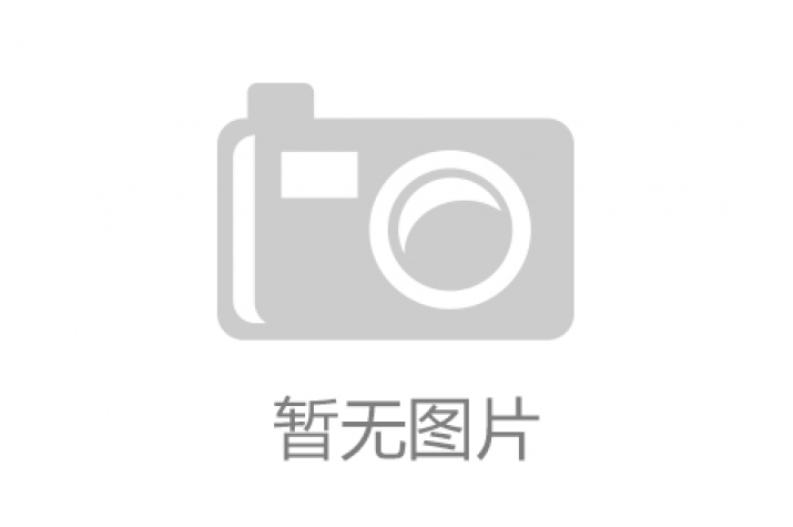 NaY 分子筛(小晶粒)质量指标